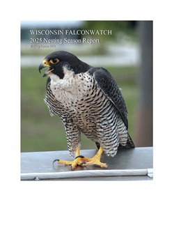 WISCONSIN-FALCONWATCH-2025-COVER.jpg WISCONSIN-FALCONWATCH-2025-COVER.jpg
