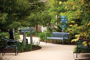 Peaceful seating area in MRMC greenspace